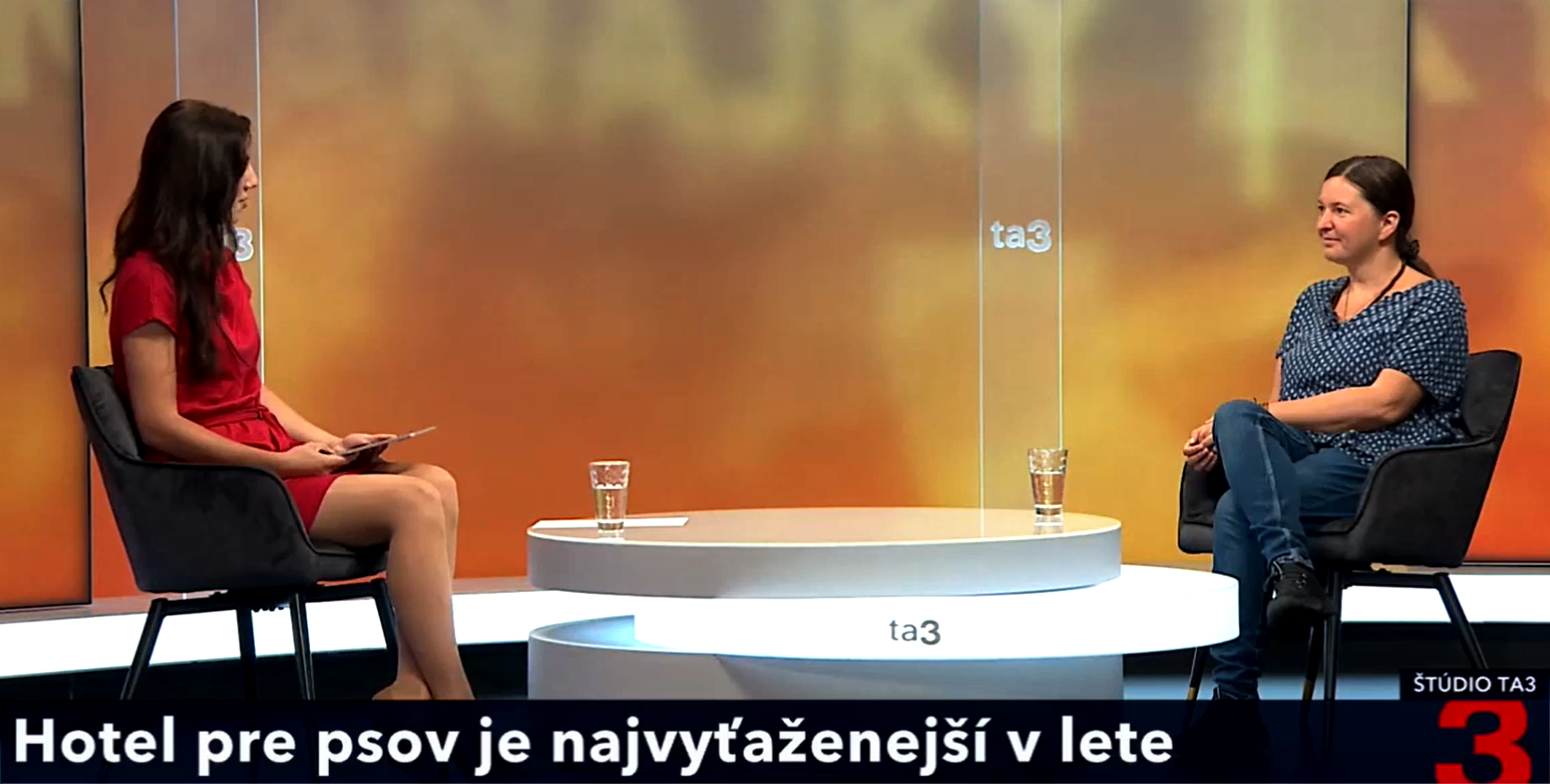 Rozhovor na TA3