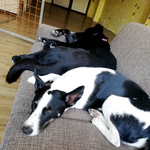 Spíme kde sa nám zachce