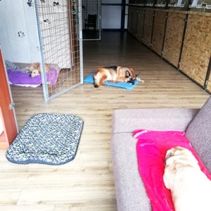 Máme radi svoj kľud