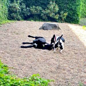 Work hard, play hard