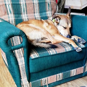 Pospím si v kresielku