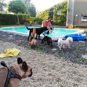 Pri bazéne je vždy veselo