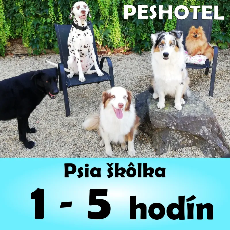 Denná škôlka 1 - 5 hodín