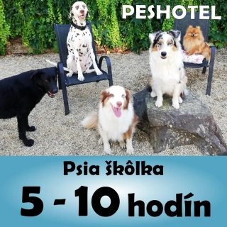 Denná škôlka 5 - 10 hodín