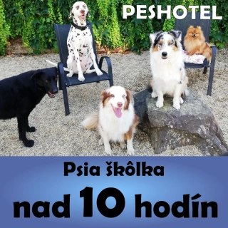 Denná škôlka nad 10 hodín