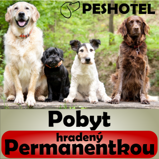 Pobyt, hradený permanentkou