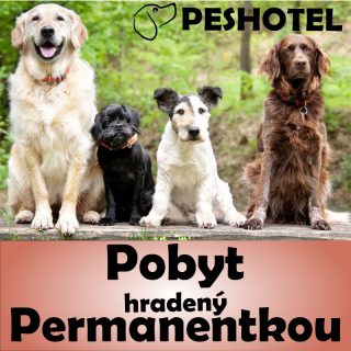 Pobyt, hradený permanentkou