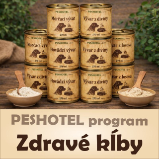 Program: Zdravé kĺby